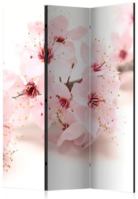 Paravento Fiore di ciliegio - pianta orientale rosa su sfondo bianco in tema Zen