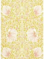 Morris & Co Carta da parati Simply Pimpernel - Sunflower/ Pink