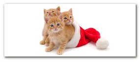 Quadro su vetro Gatti Babbo Natale 140x70 cm