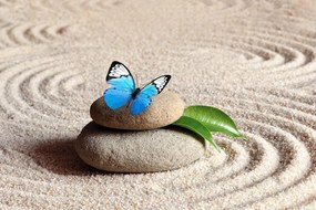 Carta da parati – Farfalla blu su pietra Zen