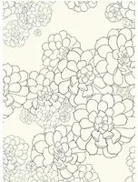 Paint & Paper Library Carta da parati Aeonium - Clean White