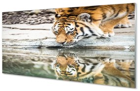 Quadro in vetro La tigre che beve 100x50 cm