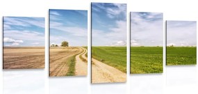 Quadri 5 pezzi – Paesaggio incantevole
