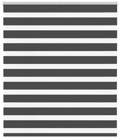Tenda A Rullo Zebra Nero Larghezza Tessuto 125,9 Cm Poliestere /