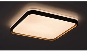 Rabalux 71029 - Plafoniera LED LIATRIS LED/26W/230V 3000K