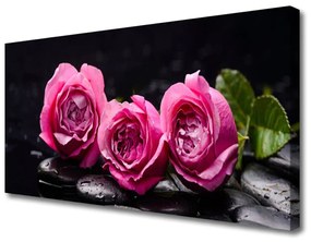 Quadro su tela Rose Pietre Zen Spa Natura 100x50 cm