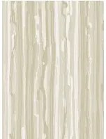 Cole & Son Carta da parati Strand - Stone