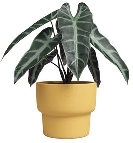 Vaso in ceramica fatto a mano ø 17 cm Echo - Artevasi