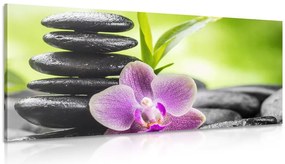 Quadro su tela – Composizione Zen tropicale