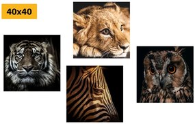 Set di quadri – Animali selvatici