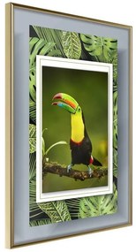 Poster  Toucan in the Frame  Cornice Quadri Cornice d'oro, Larghezza x Altezza Home decor 40x60