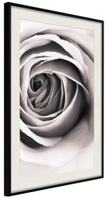 Poster  Structure of Petals  Cornice Quadri Cornice nera con pass-partout, Larghezza x Altezza Home decor 20x30