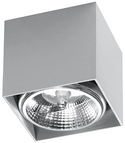 Luce Spot BLAKE 1xGU10/40W/230V