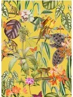 Coordonne Carta da parati Parrots - Limon