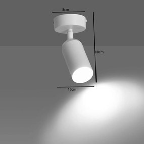 Plafoniera Orientabile HERA 1 da soffitto e parete