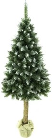 Albero di Natale su tronco 220 cm abete
