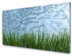 Quadro acrilico Erba, acqua, natura 100x50 cm