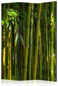 Paravento separè Giardino orientale - paesaggio di foresta di bambù verde e vegetazione