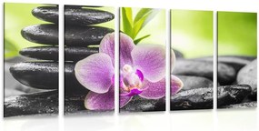Quadri 5 pezzi – Composizione Zen tropicale