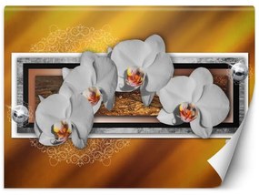 Carta Da Parati, Geometria e orchidee
