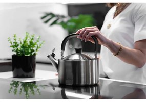 Bollitore in acciaio inox smerigliato con stantuffo , 1,5 l Diamante - Vialli Design