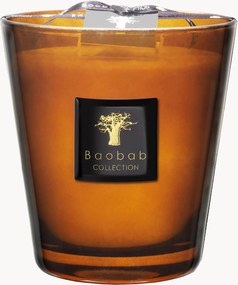 Candela profumata Prestigieuses (cuoio, vetiver, muschio)