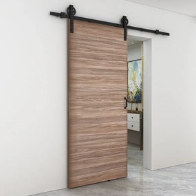 Porta scorrevole Foret, L 92.5 x H 211.5 cm, con binario Rodeo