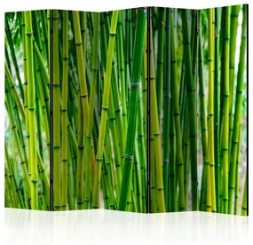 Paravento Bamboo Forest II [Room Dividers]