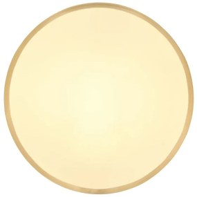 Globo 12381-22 - Plafoniera LED TIBEY LED/22W/230V diametro 35 cm