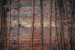 Carta da parati – Bambù esotico su legno