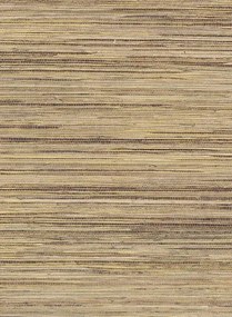 Eijffinger Carta da parati Natural 13 - Beige/ Schilf/ Gold