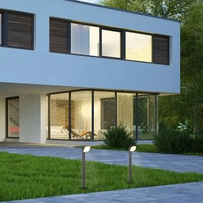 Rabalux 77060 - Lampada LED da esterno ODIEL LED/12W/230V IP44 80 cm nero