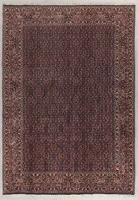 Bidjar Tappeto 300x210 (Iran) Annodato A Mano