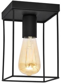 Plafoniera FINN 1xE27/15W/230V nero