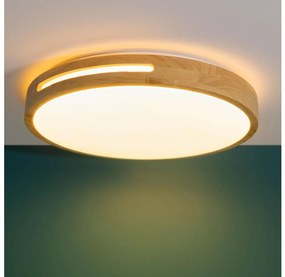 Brilliant - Plafoniera LED dimmerabile WOODBURY LED/24W/230V diametro 39 cm