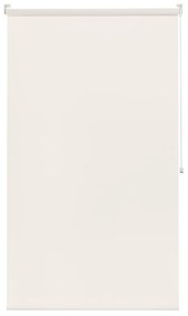 Tenda a rullo filtrante INSPIRE Screen lino 200x250 cm