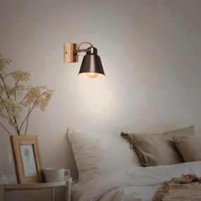 Briloner 2406-014 - Faretto da parete RETRO 1xE27/40W/230V marrone