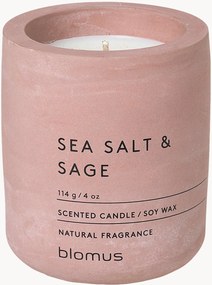 Candela profumata Fraga (salvia & erbe aromatiche)