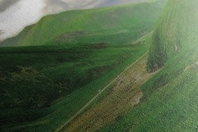 Stampa su tela – Natura verde