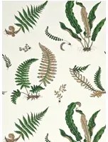GP & J Baker Carta da parati Ferns - Original Green