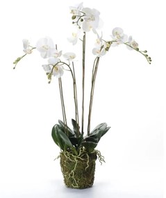 Orchidea Artificiale Con Muschio Bianca 90 Cm 20.355 /