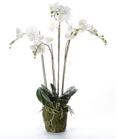 Orchidea Artificiale Con Muschio Bianca 90 Cm 20.355 /