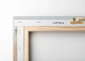 Quadro su tela – Pianta di cotone nel campo