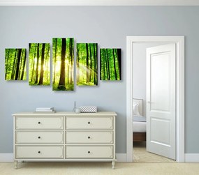 Quadri 5 pezzi – Foresta verde fresca