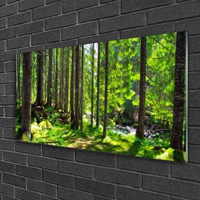 Quadro di vetro Foresta Alberi Pianta Natura 100x50 cm