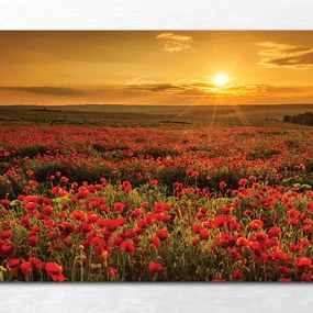 Stampa incorniciata su tela Campagna multicolore 136 x 76 cm