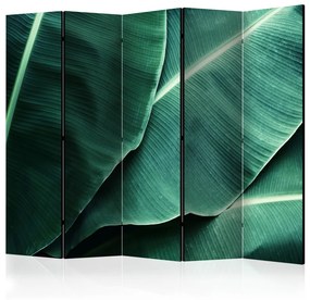 Paravento separè Foglie di banano II - texture di foglie verdi con dettagli distinti