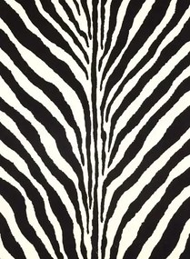 Ralph Lauren Carta da parati Bartlett Zebra - Charcoal