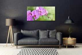 Quadro in vetro acrilico Orchidea Fiori di orchidea 100x50 cm