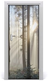 Adesivo per porta Nebbia nella foresta 75x205 cm